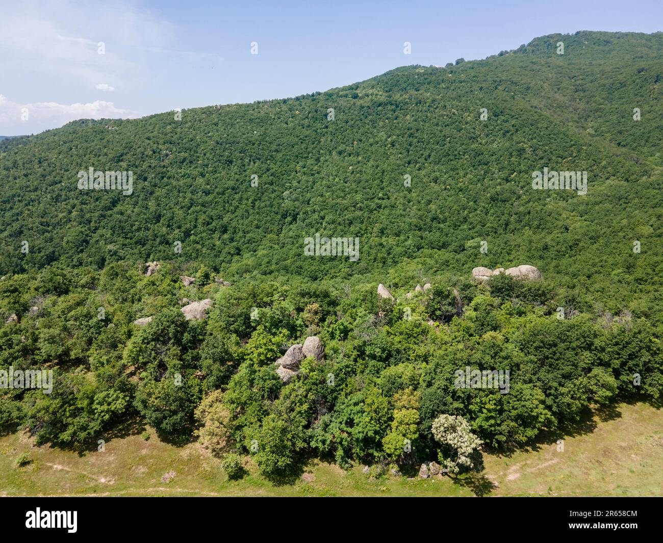 Strelcha hi-res stock photography and images - Alamy