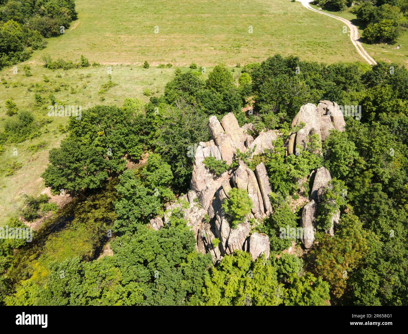 Strelcha hi-res stock photography and images - Alamy