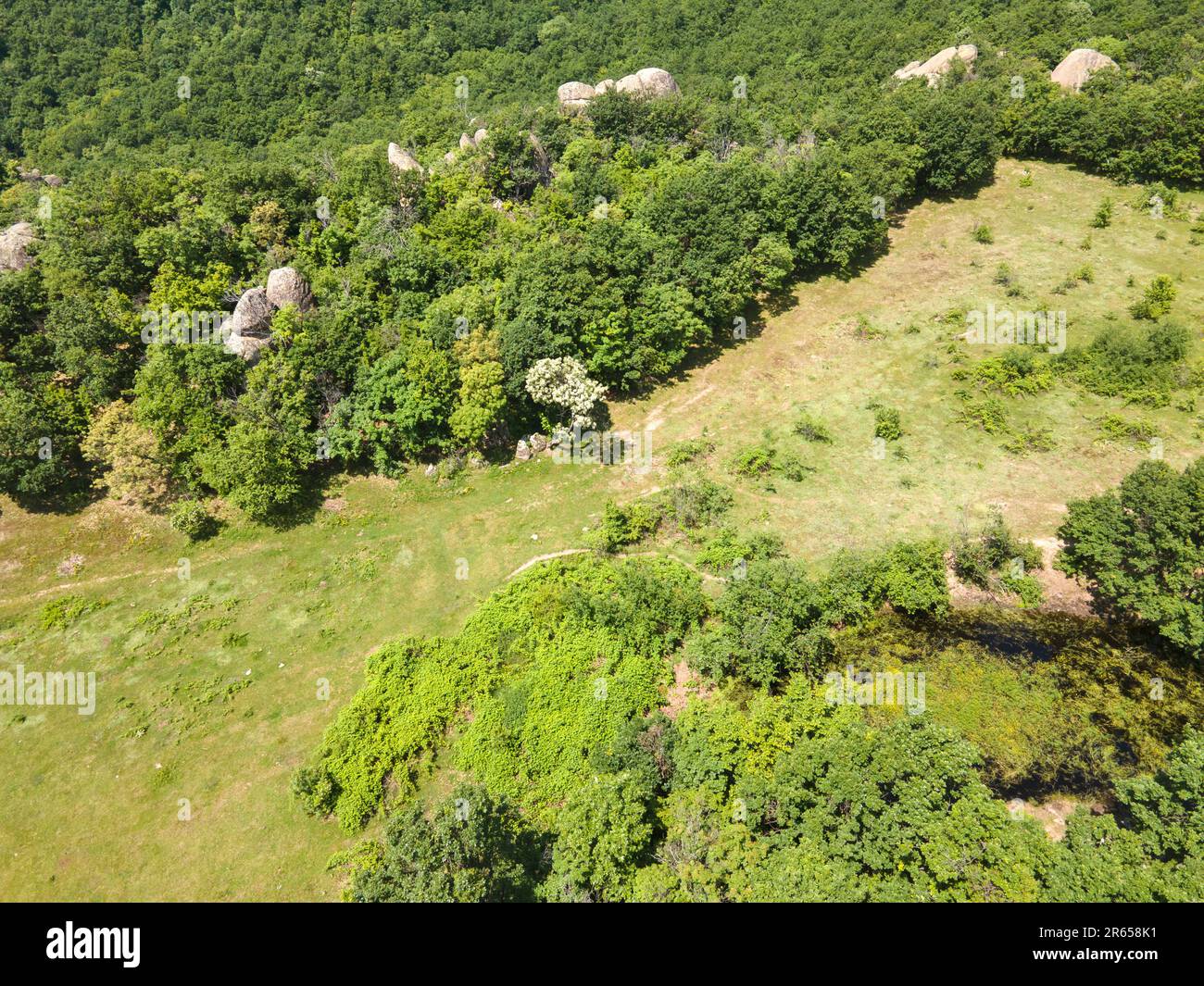 Strelcha hi-res stock photography and images - Alamy