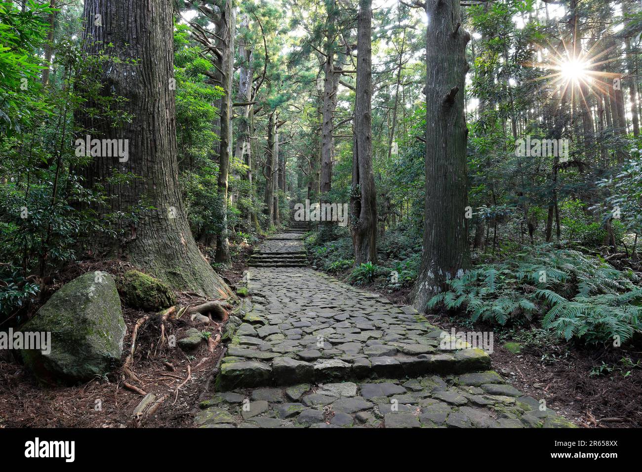 Daimonzaka in Kumanokodo road Stock Photo Alamy