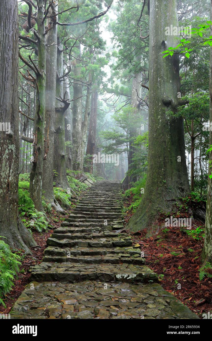 Kumano Nachi mountain daimon slope Stock Photo