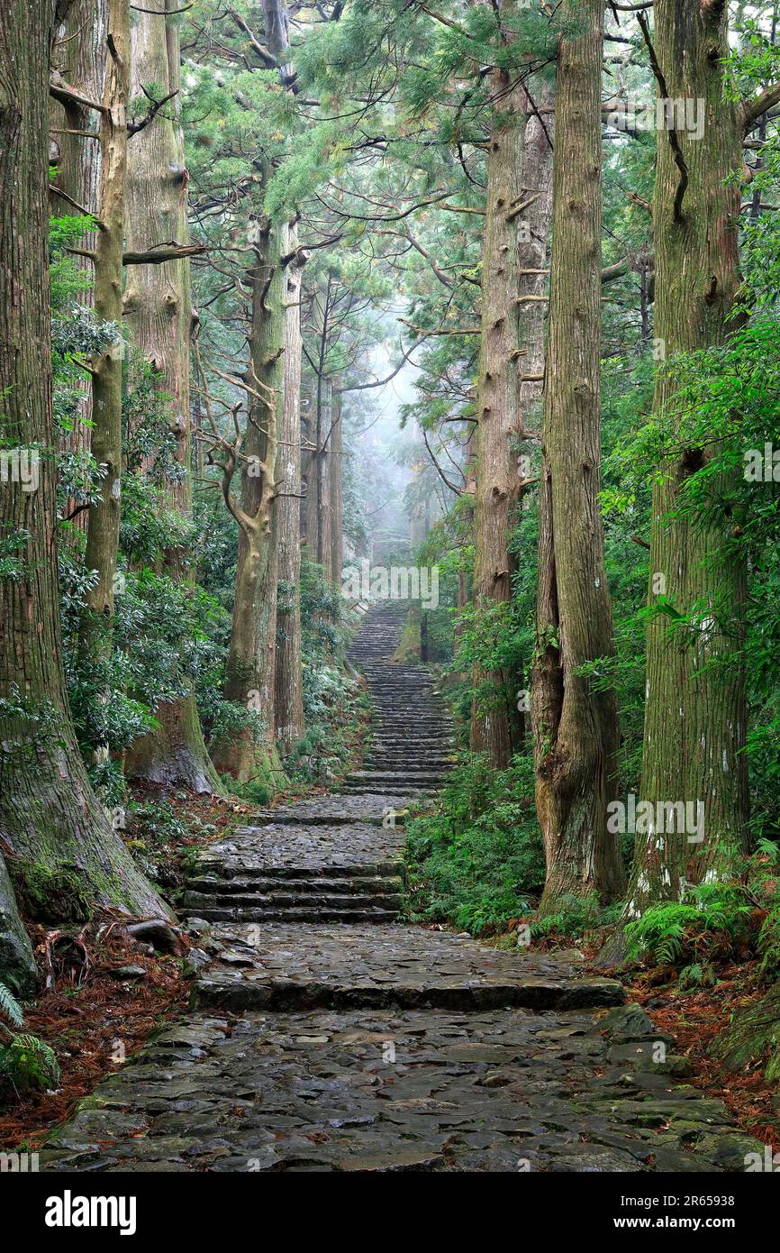 Kumano Nachi mountain daimon slope Stock Photo