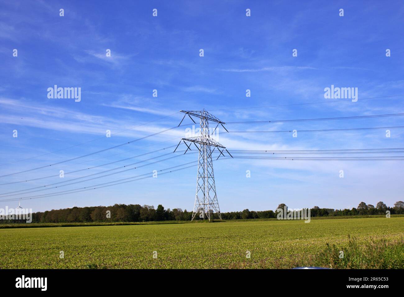 Landscape, Holland Stock Photo