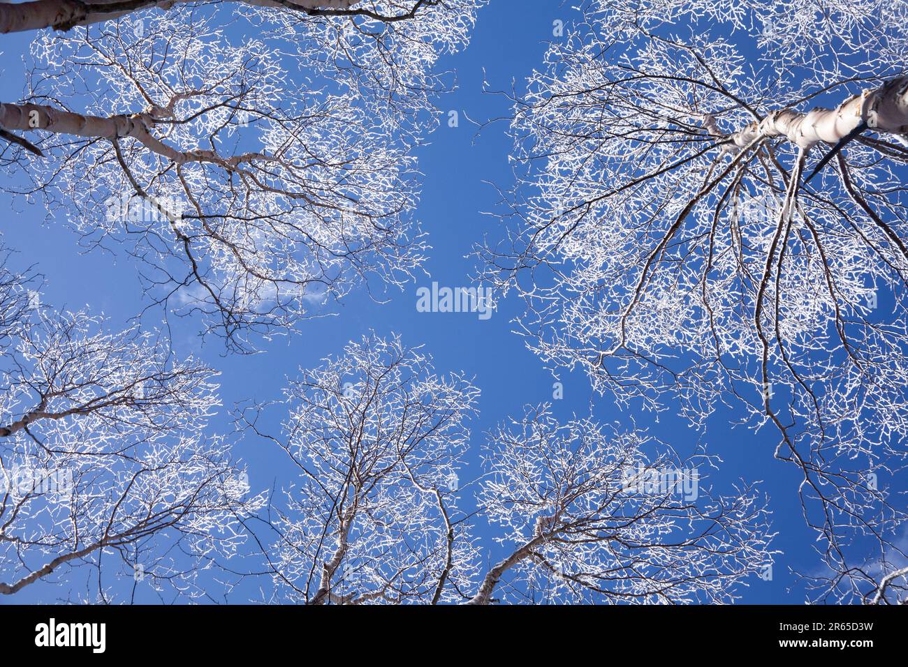 Blue sky and foggy ice Stock Photo Alamy