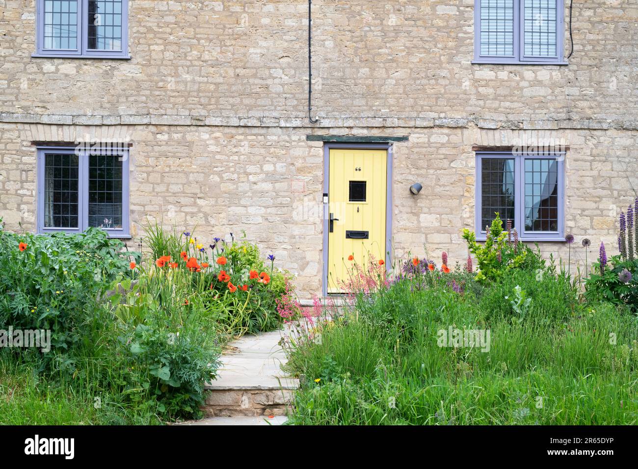Overgrown English cottage front garden in june. Northamptonshire, England Stock Photo