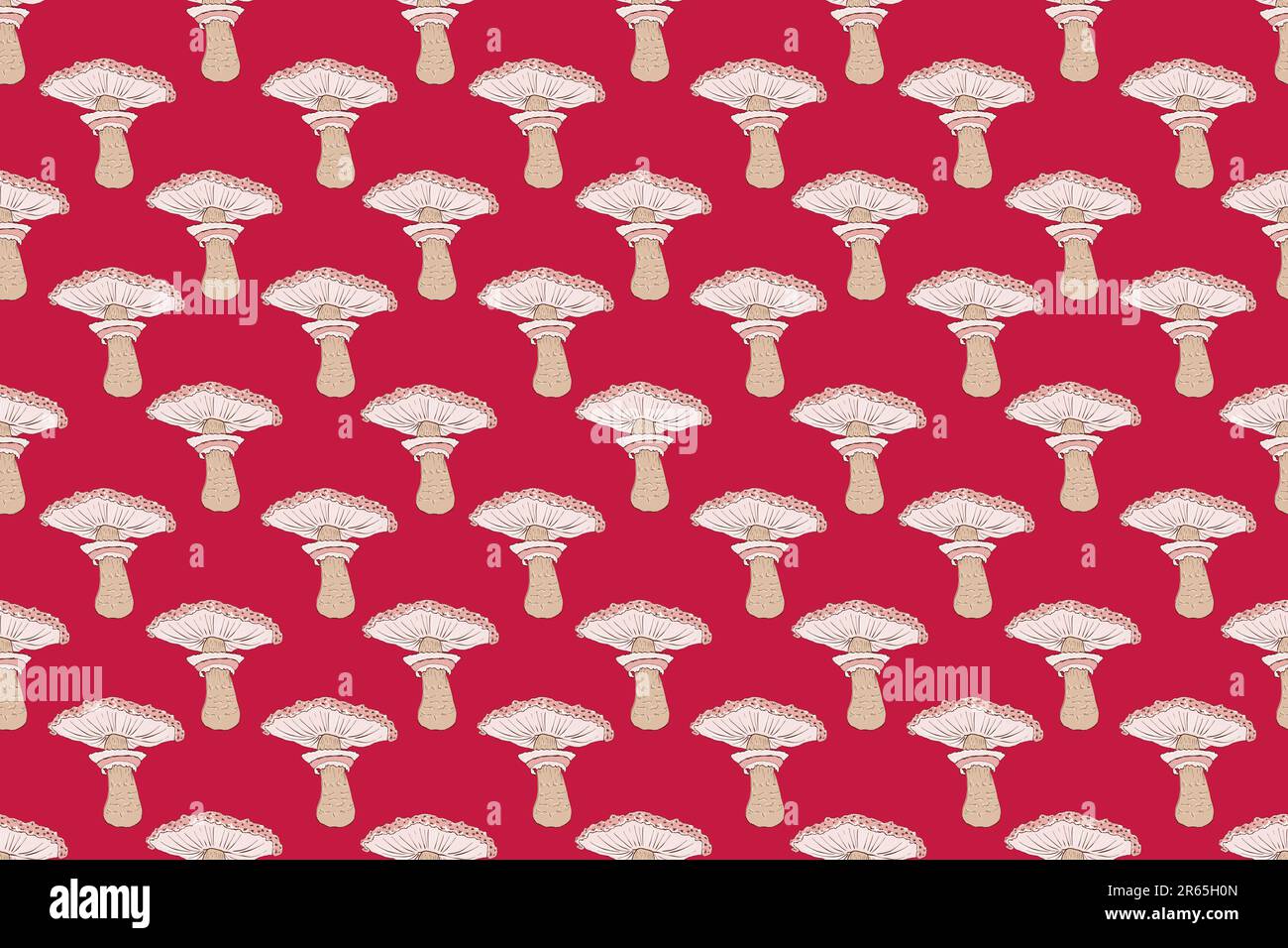 Seamless pattern of mushrooms. Hand drawing illustration in cartoon style isolated on white Stock Photo