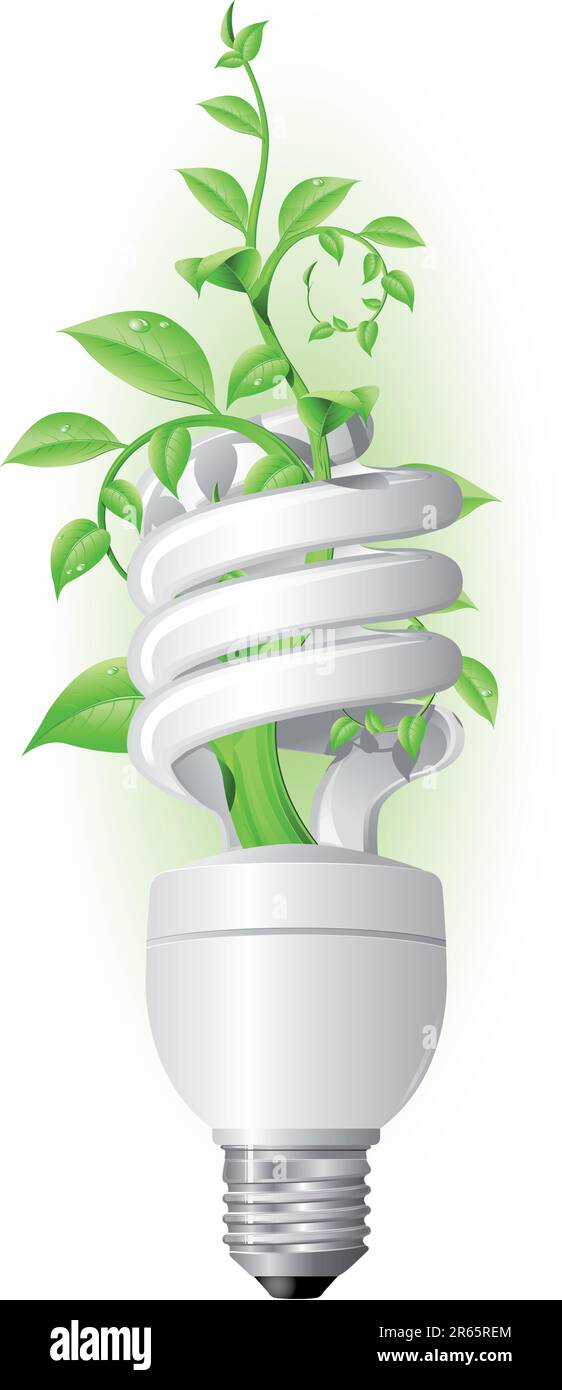 Eco lamp with a plant inside Stock Vector Image & Art - Alamy