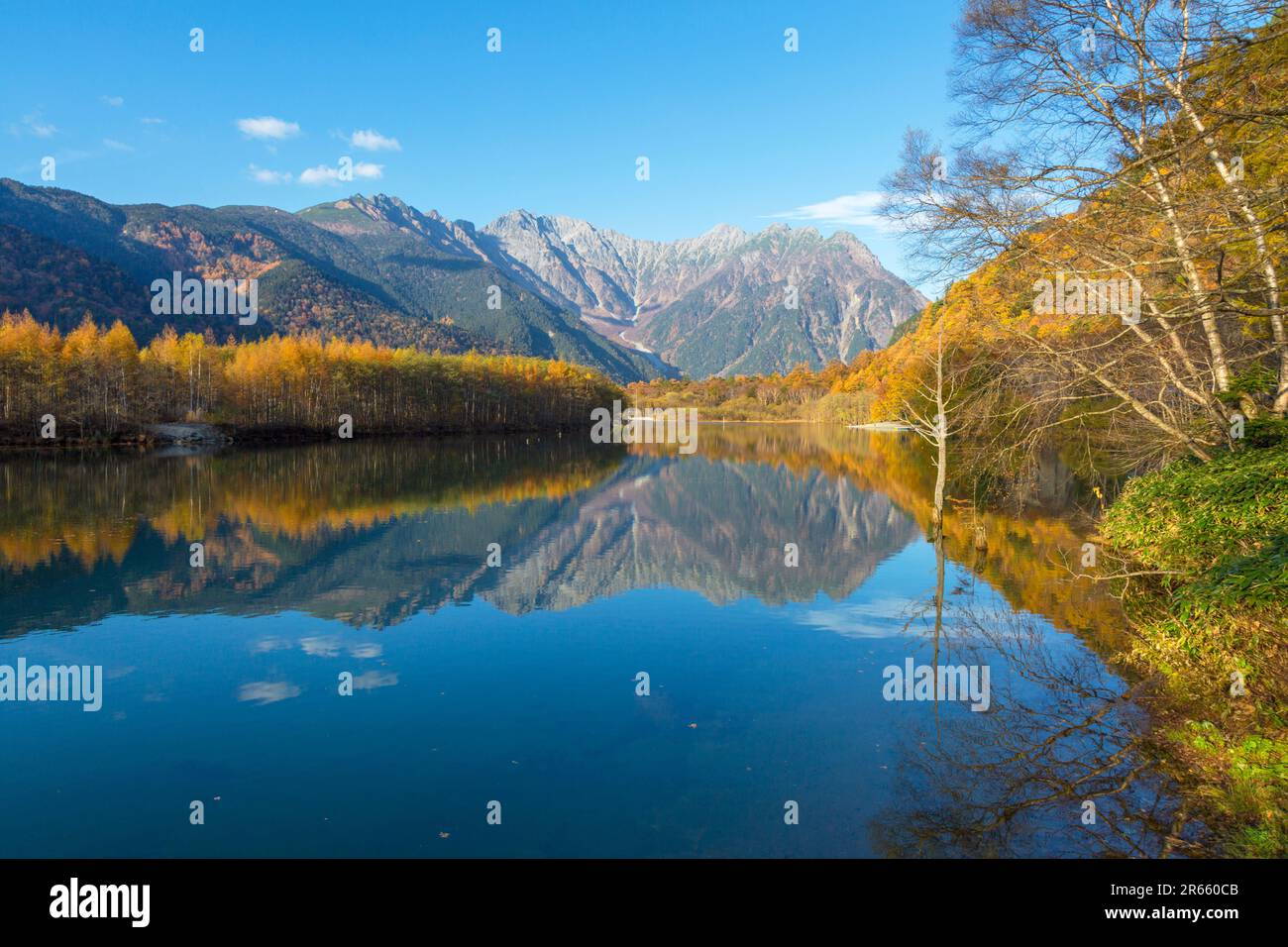 Autumn Leaves At Taisho Pond Stock Photo Alamy autumn-leaves-at-taisho-pond-stock-photo-alamy