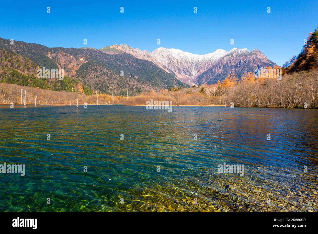 Autumn Leaves At Taisho Pond Stock Photo Alamy autumn-leaves-at-taisho-pond-stock-photo-alamy