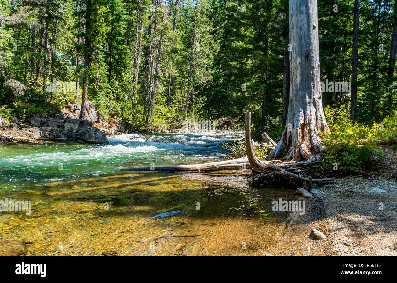 A view of a crystal clear stream along the Chninook Pass in