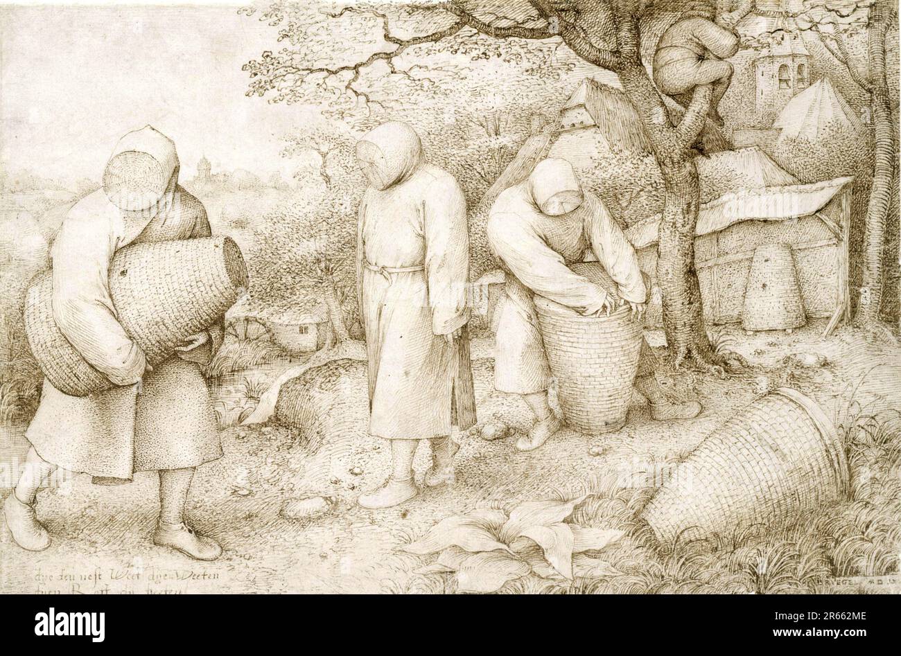 Beekeepers sketched by the Dutch Renaissance painter Pieter Breughel the Elder in 1568. Breughel was the most important painter of the Dutch and Flemish Renaissance. His choice of subjects was influential, he rejected portraits and religious scenes in favour of local and peasant scenes. Stock Photo