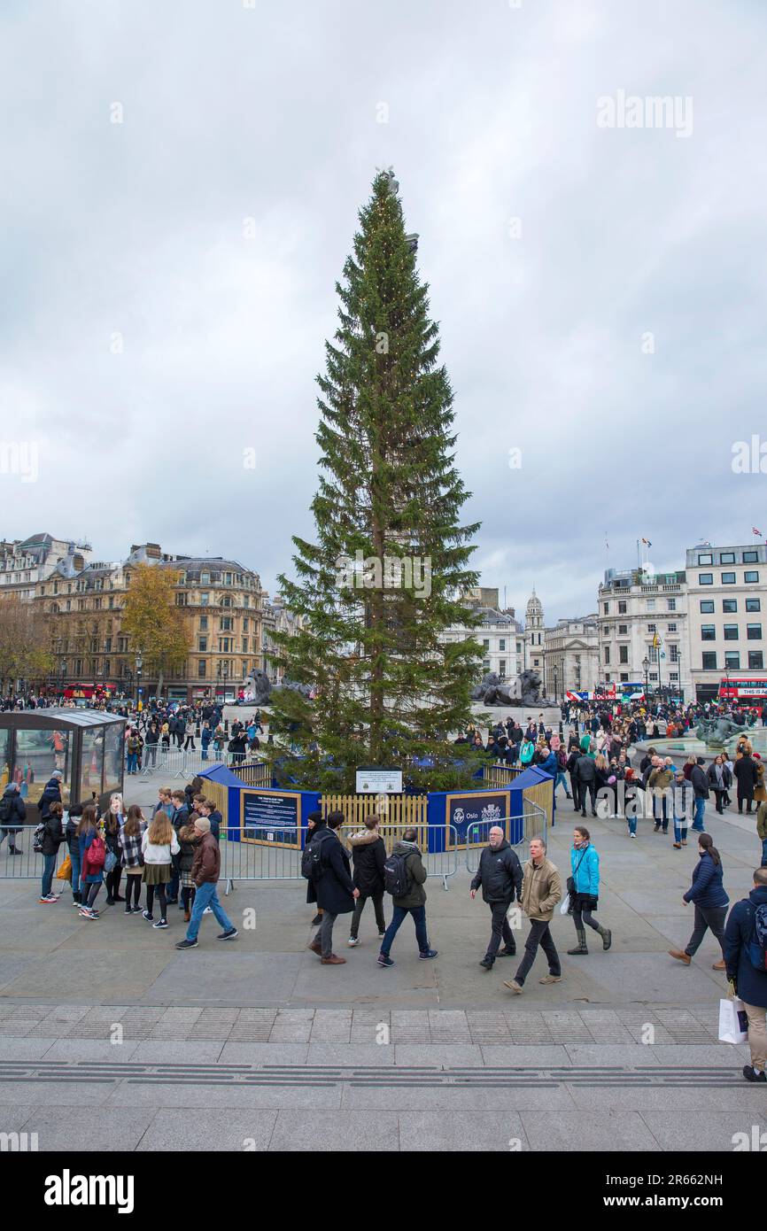 A Christmas tree is seen in Trafalgar Square, central London. Stock Photo
