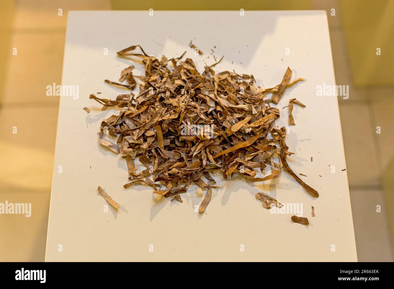 Natural Wood Fibre Material For Furniture Building Industry Stock Photo