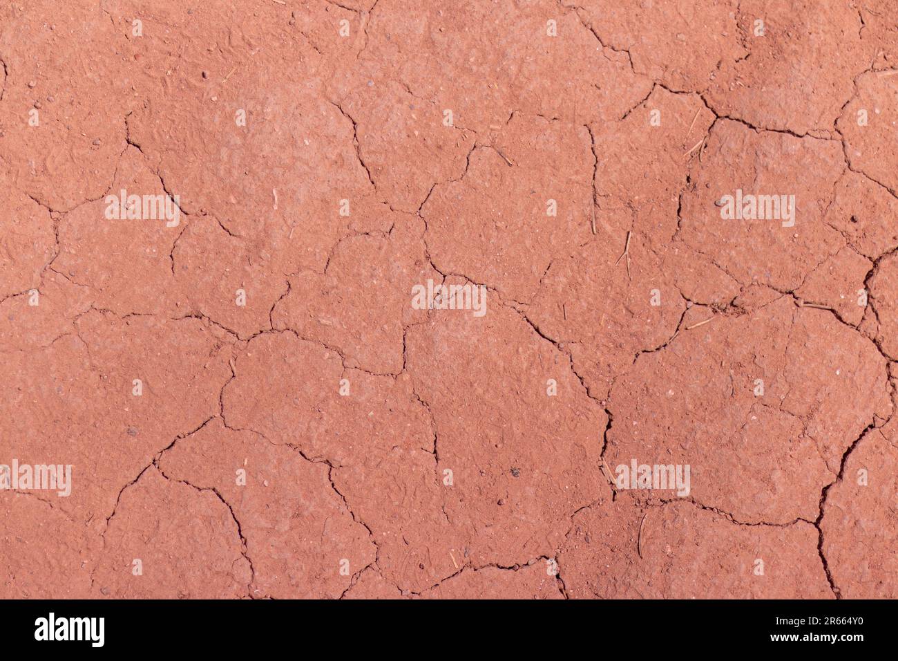 Loarx Rocks The lorax hi-res stock photography and images - Alamy