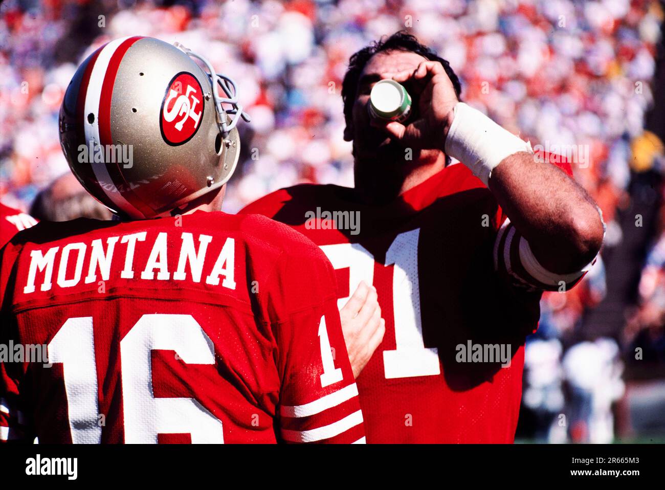 Joe Montana and Russ Francis of the San Francisco 49rs during a game at Candlestick Park in San Francisco, California 1986 Credit: Ross Pelton/MediaPunch Stock Photo