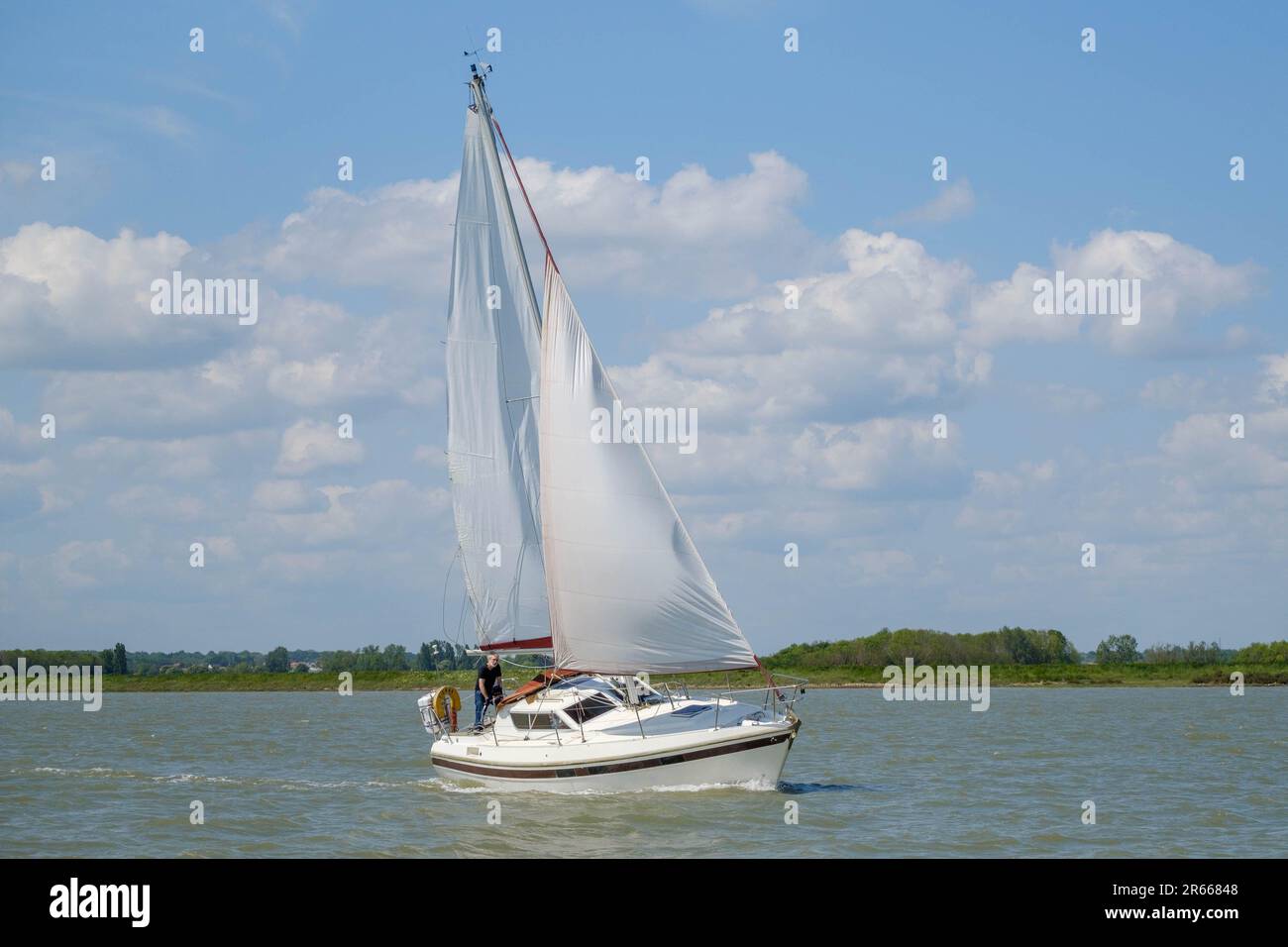 Sailing on River Crouch Stock Photo