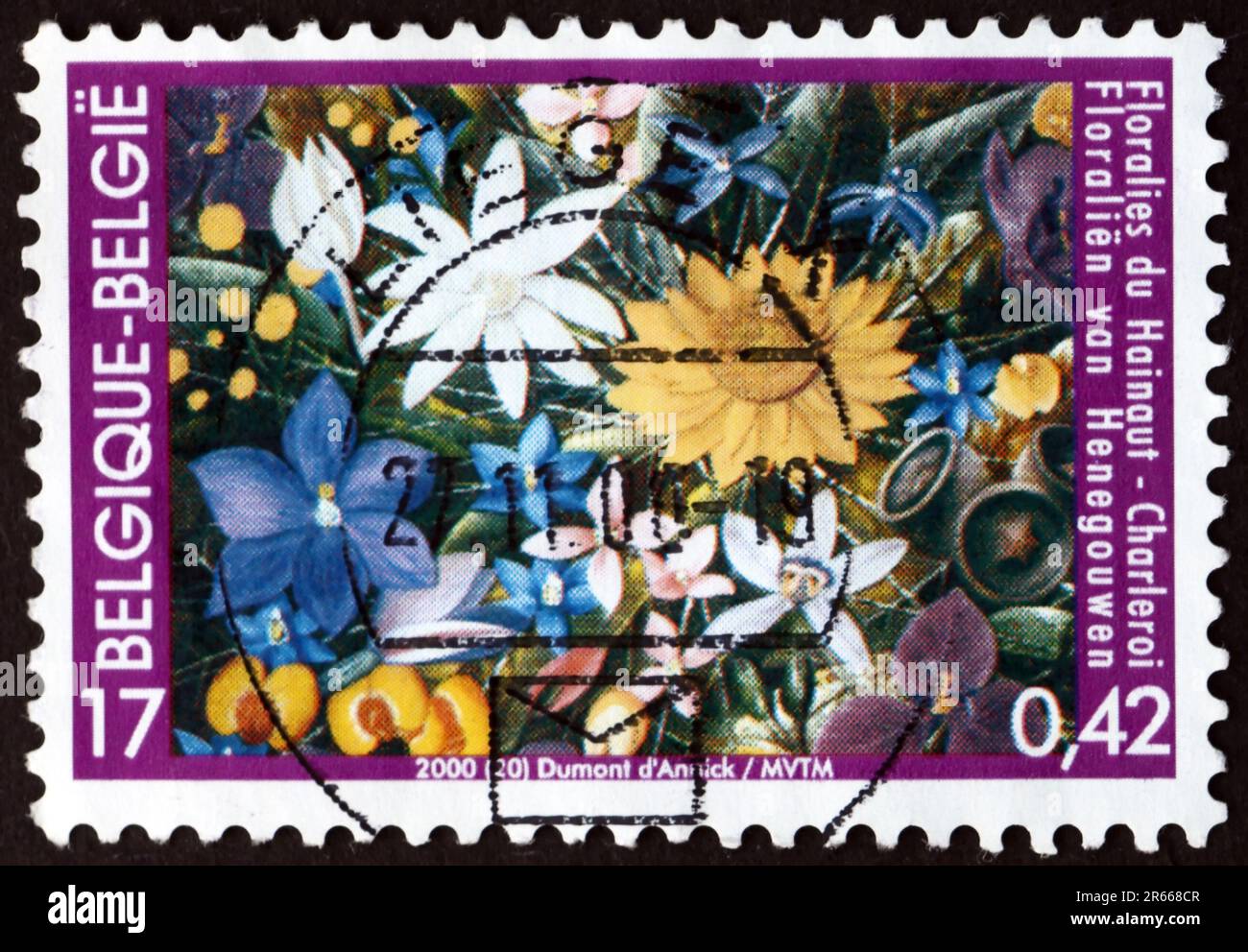 BELGIUM - CIRCA 2000: a stamp printed in Belgium shows Flowers, Hainault Flower Show, circa 2000 Stock Photo