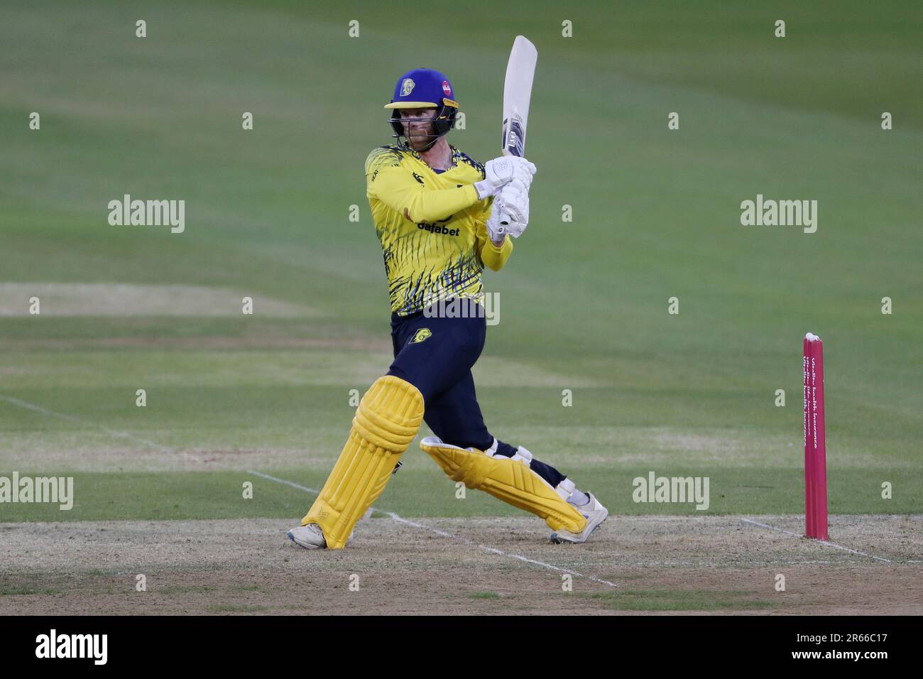Vitality t20 hi-res stock photography and images - Page 7