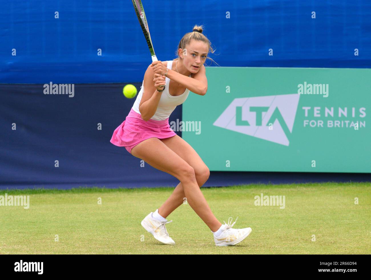 She Logo Hi res Stock Photography And Images Alamy she-logo-hi-res-stock-photography-and-images-alamy