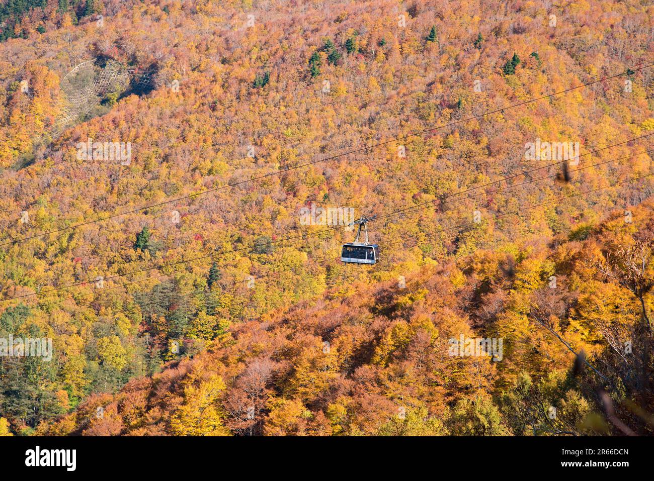 Zao ropeway hi-res stock photography and images - Alamy