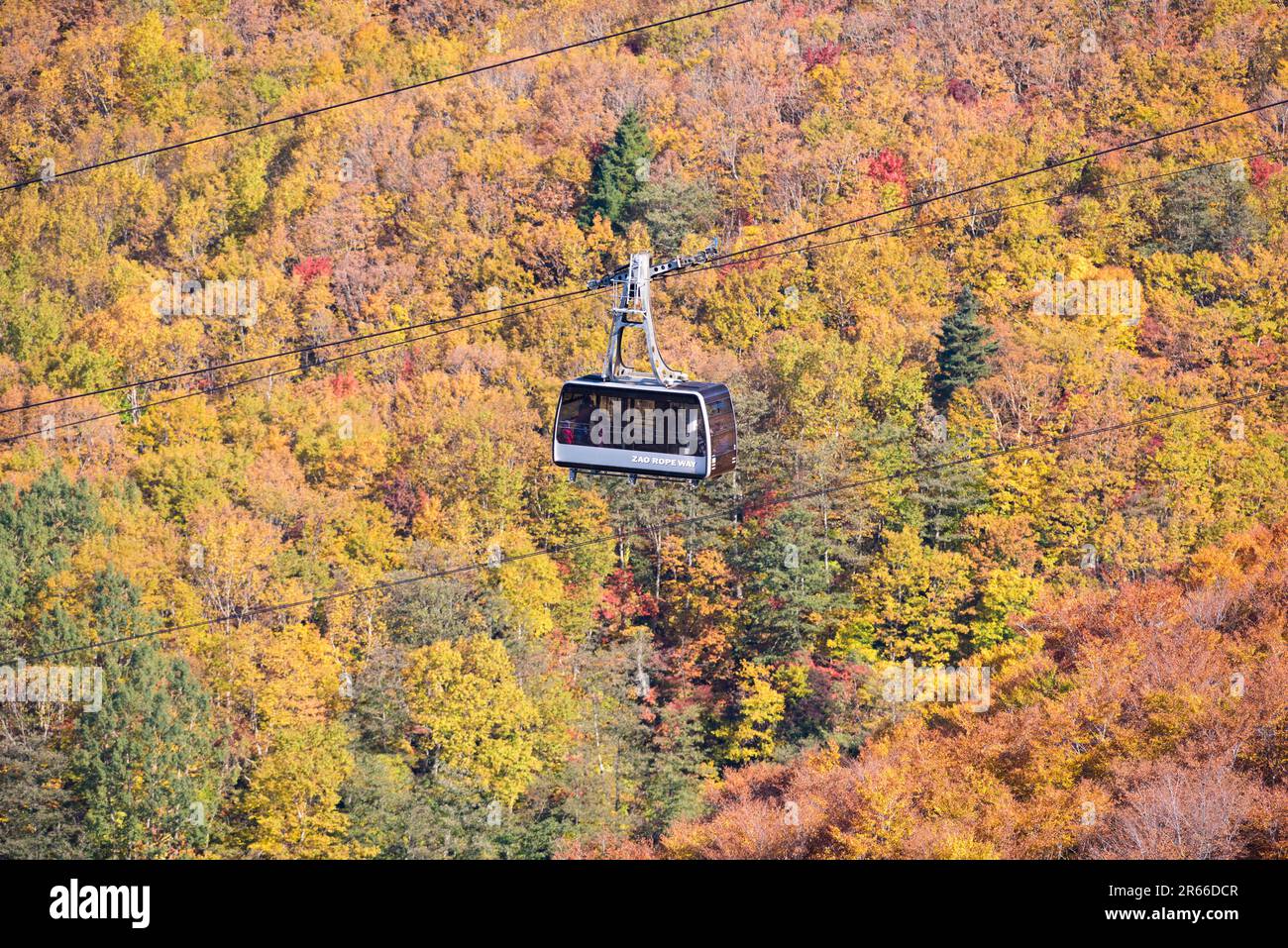 Zao Ropeway in autumn leaves Stock Photo - Alamy
