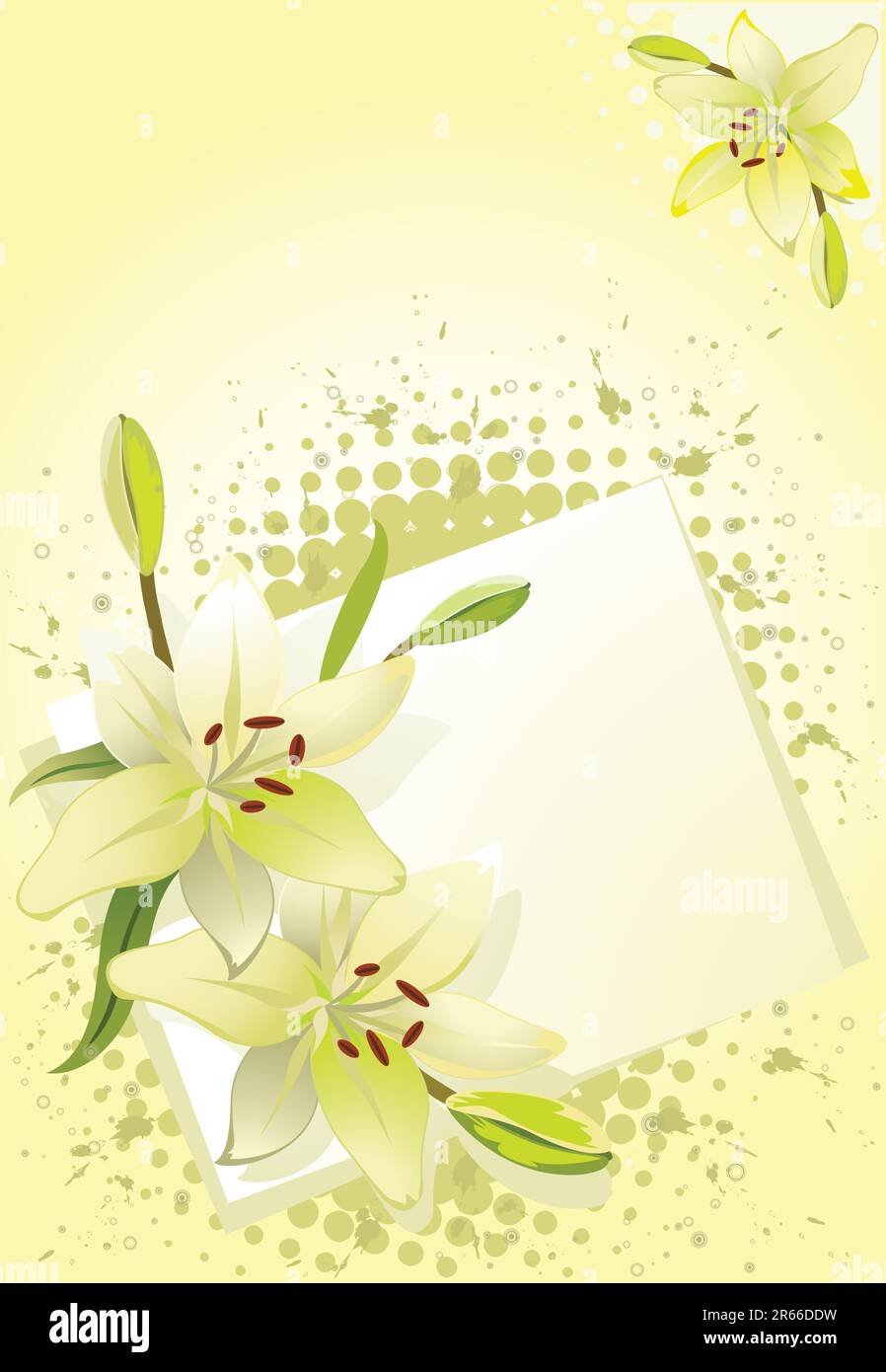 Lily, vector grunge floral background Stock Vector Image & Art - Alamy