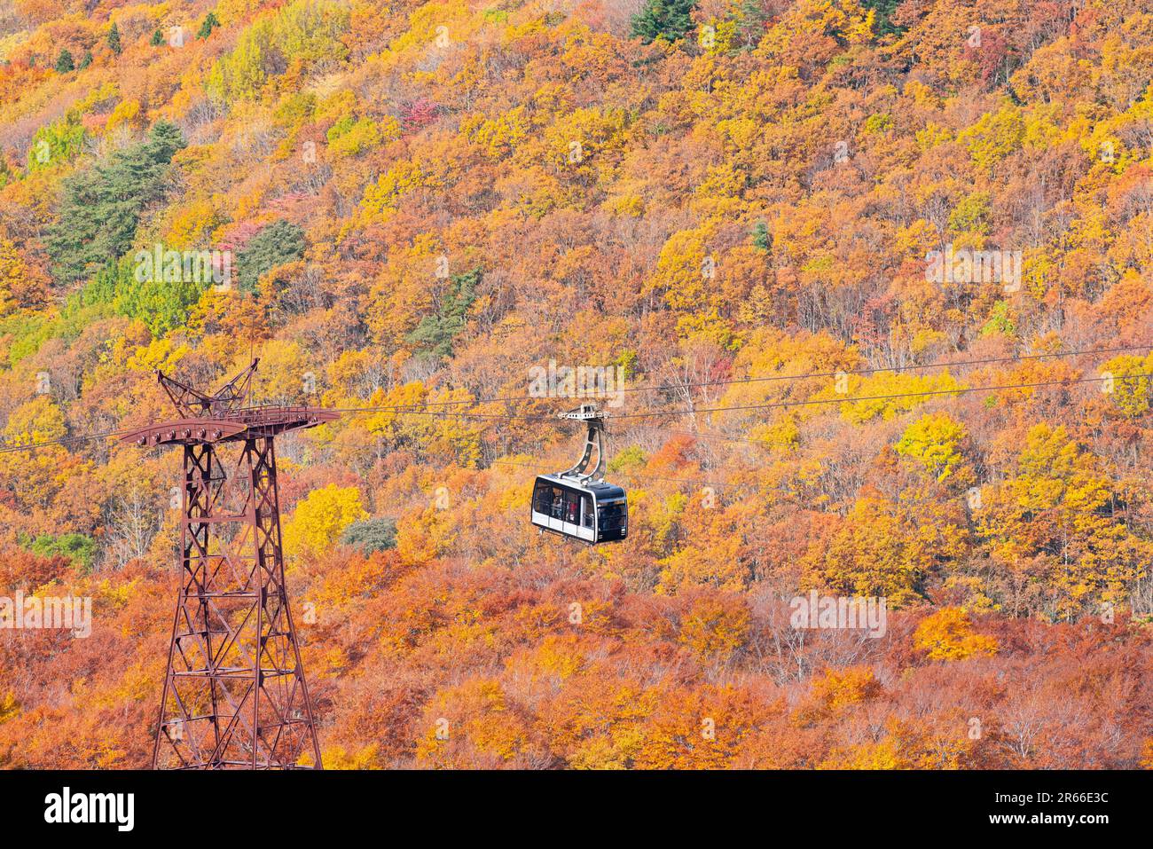 Aerial japan autumn hi-res stock photography and images - Alamy