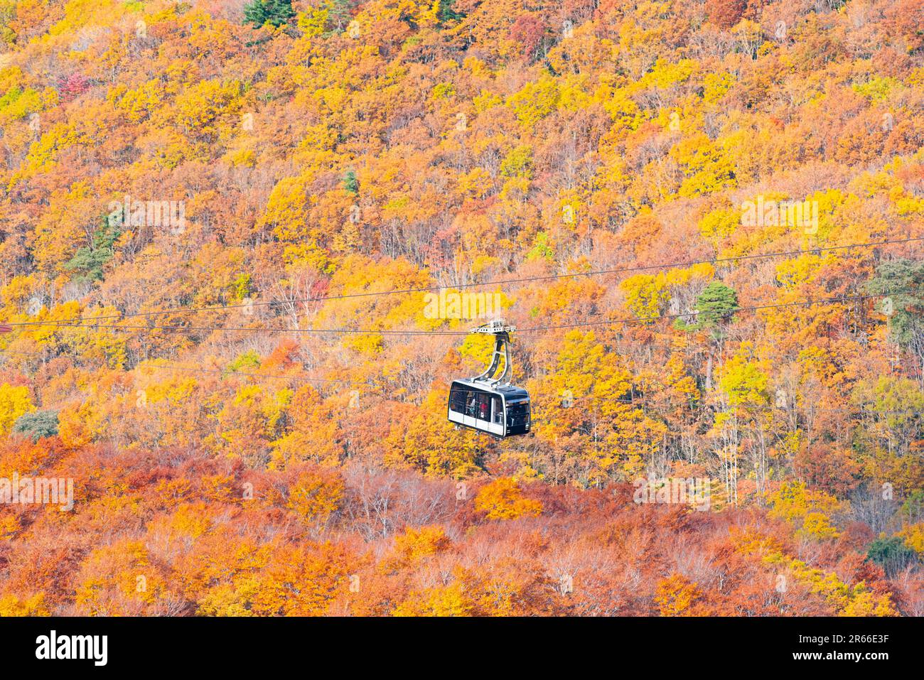 Mt Zao Autumn Outlet Deals Lunfardo ar