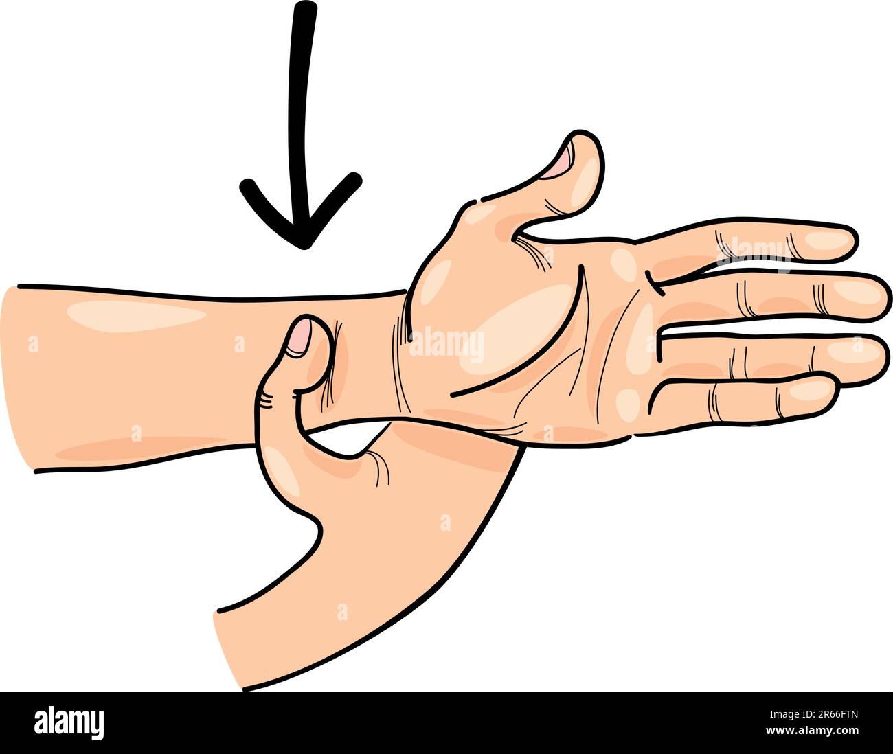 Illustration of special acupressure point on hand Stock Vector