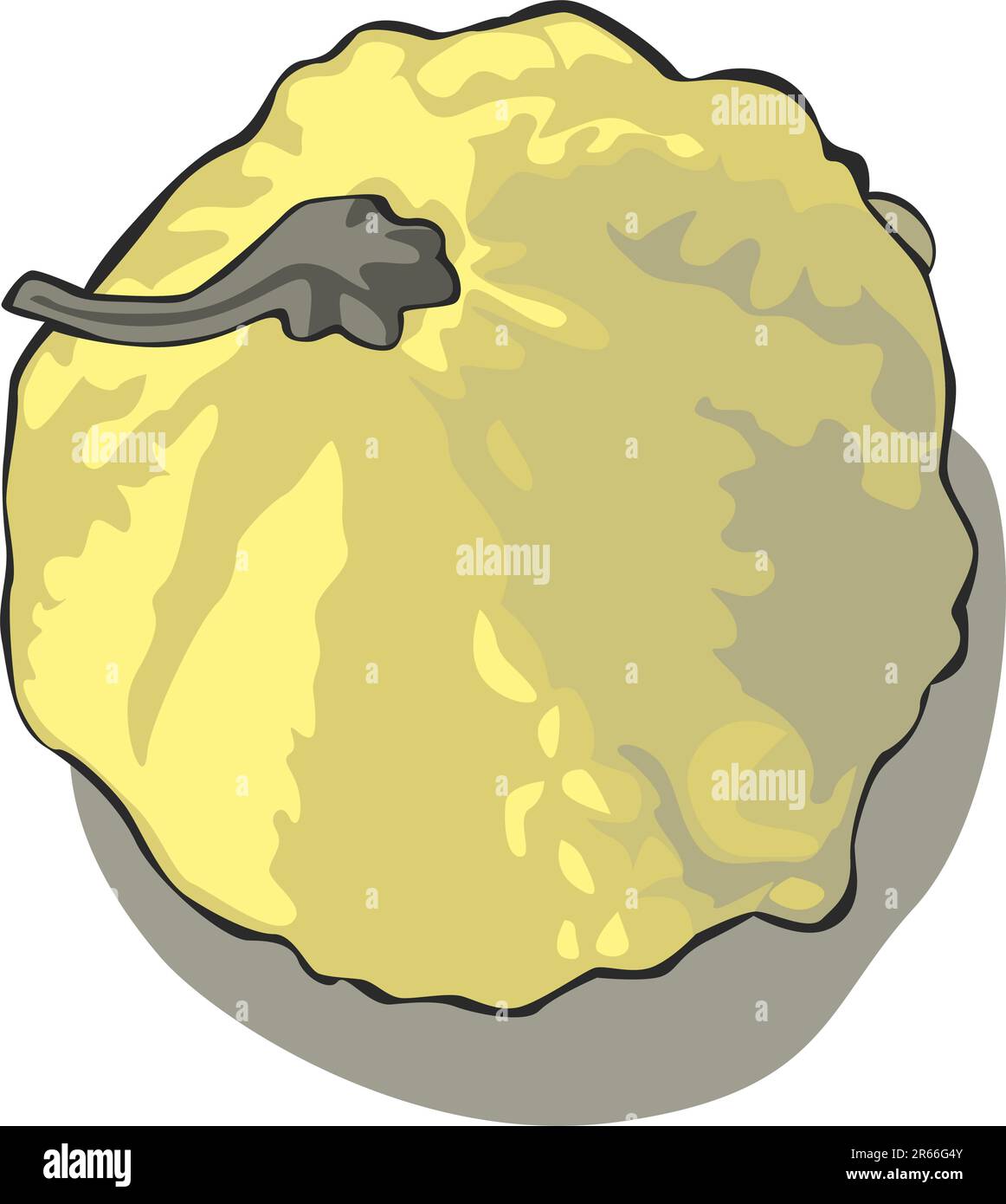 Marrow Vegetable Cutout Stock Vector Images Alamy Marrow vegetable cutout stock vector images alamy