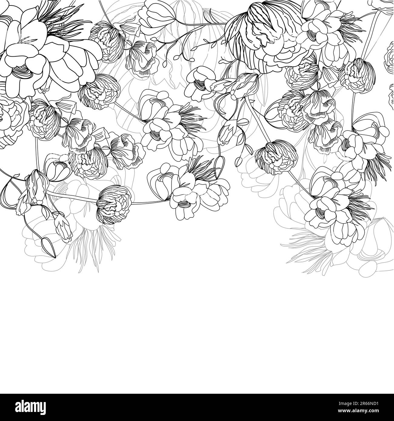 Floral paper border Black and White Stock Photos & Images - Alamy