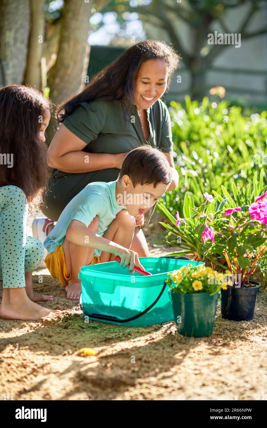 Family planting flowers in sunny summer garden Stock Photo