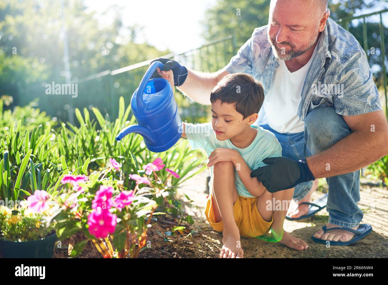 Father and son with Down Syndrome watering flowers in sunny garden Stock Photo