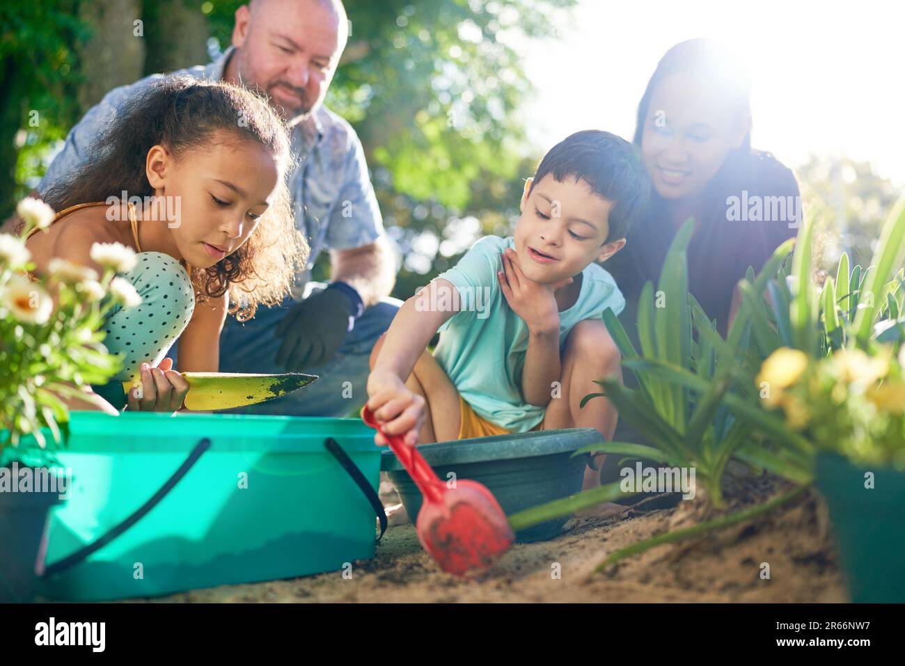 Family digging in dirt, planting flowers in sunny summer garden Stock Photo
