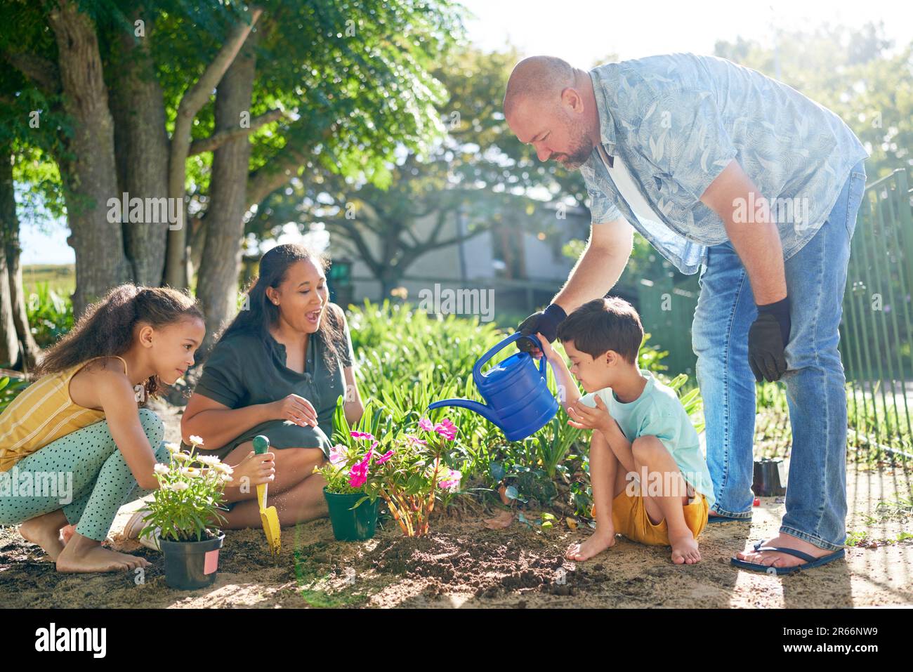 Family planting and watering flowers in sunny summer garden Stock Photo
