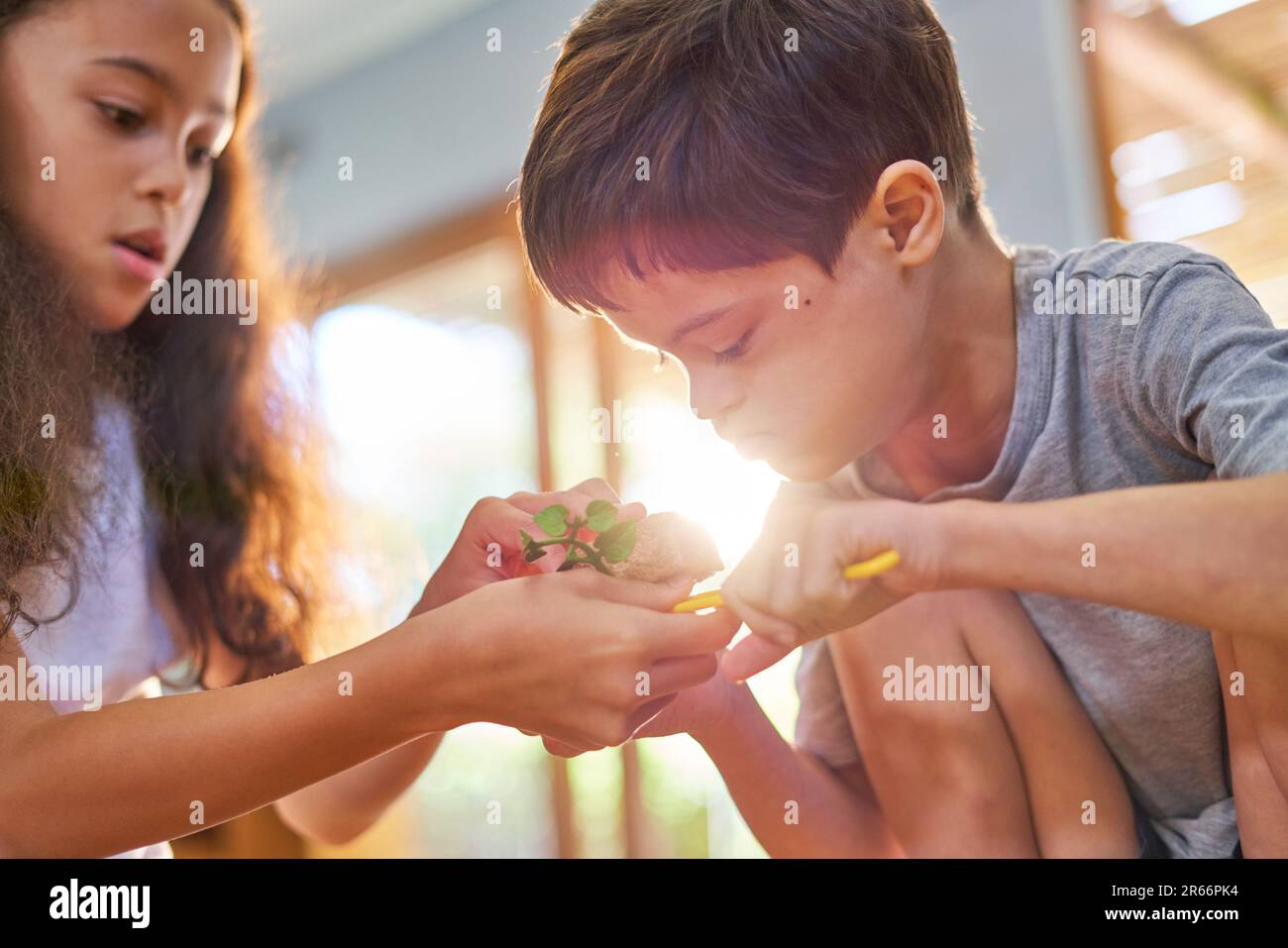 Sister and curious brother with Down Syndrome looking at plant Stock Photo