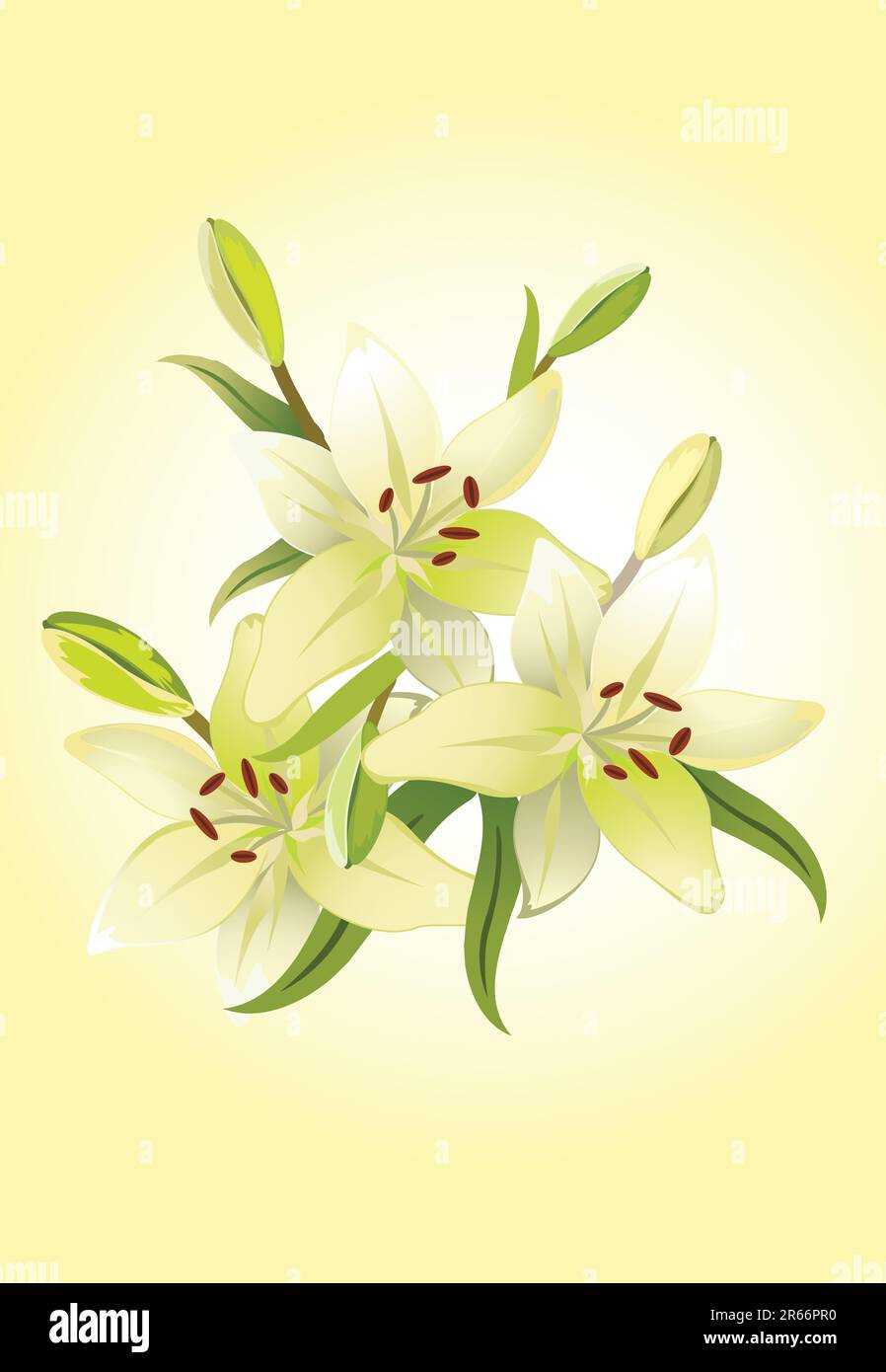 Three lily, vector grunge floral background Stock Vector Image & Art ...