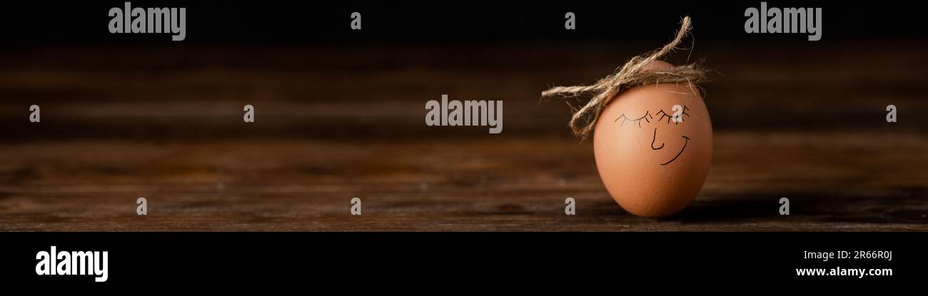 4x1 banner for website, social network, printing house. Chicken egg with a painted face on a brown wooden background. Concept. Stock Photo