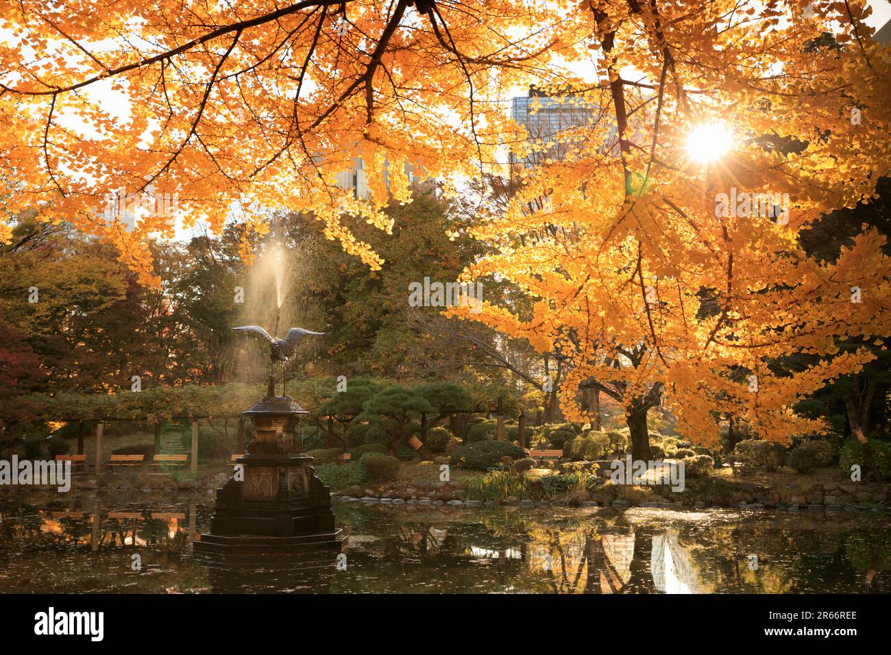 Hibiya park autumn leaves Stock Photo Alamy
