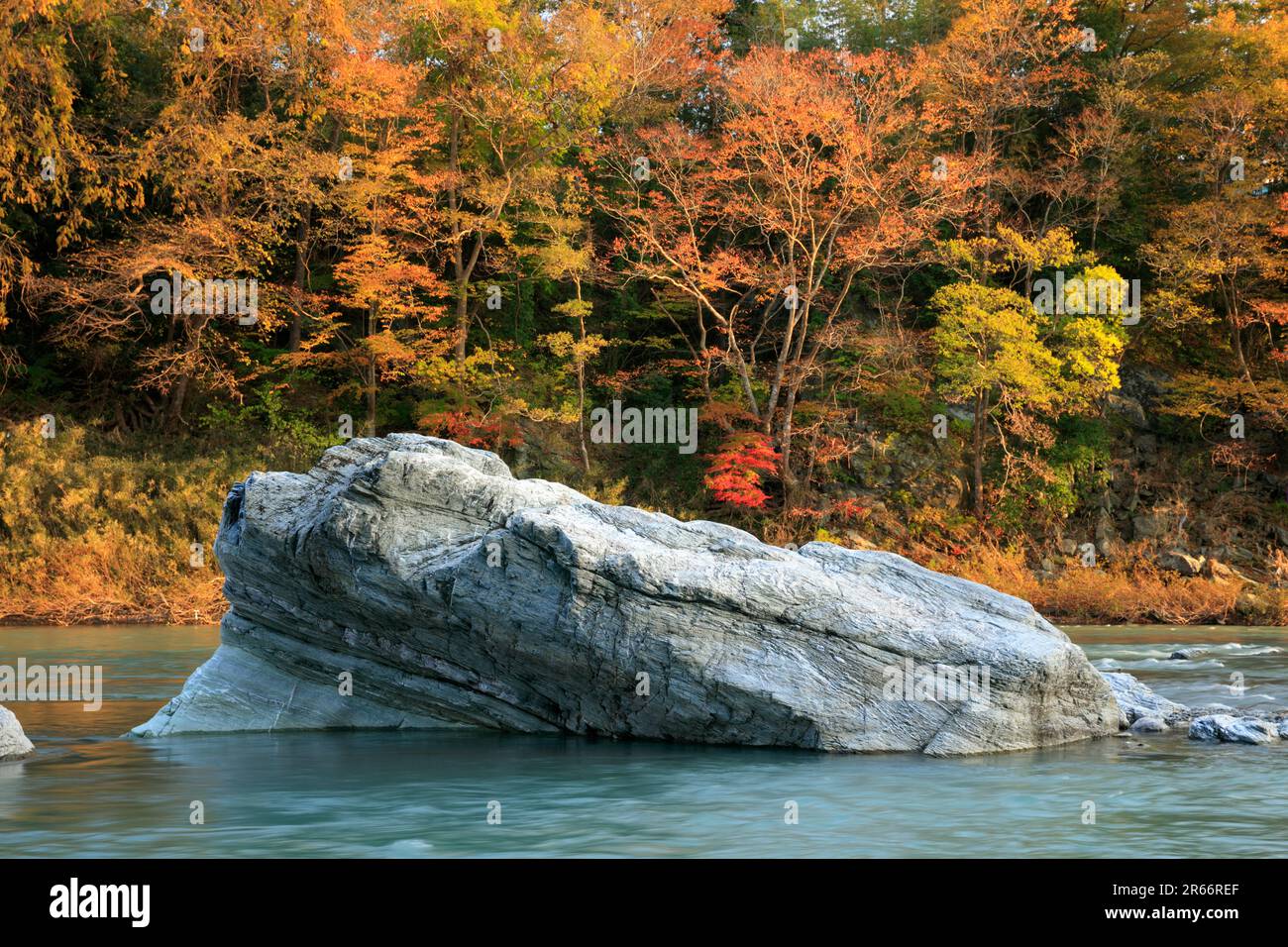 Frog Rock in Nagatoro Stock Photo Alamy