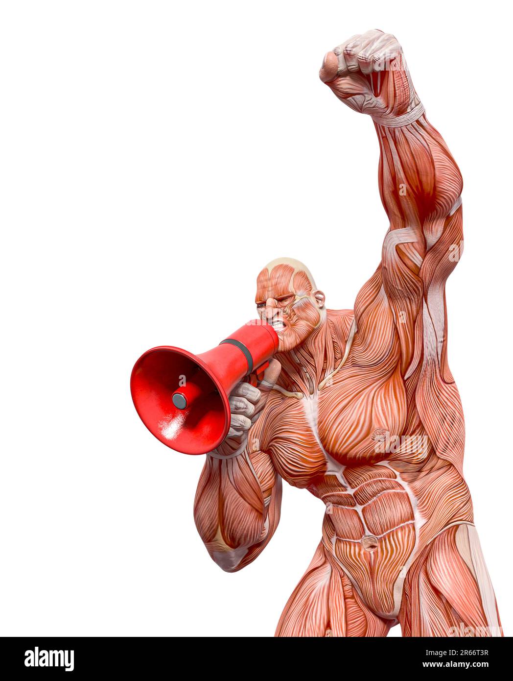 bodybuilder muscle maps is protesting - Bodybuilder Muscle Maps Is Protesting And Talking On The Megaphone In White Background Nice View 3d Illustration 2R66T3R