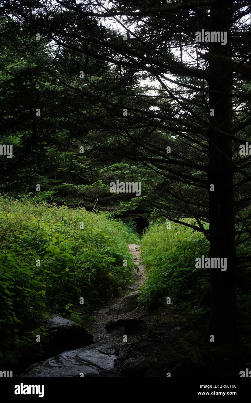 Mount Mitchell in North Carolina, USA Stock Photo - Alamy