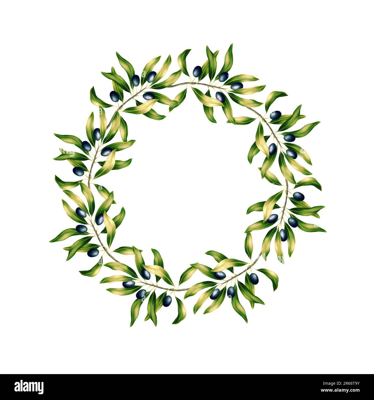 Round template for text with olive branches and leaves. Frame or border ...