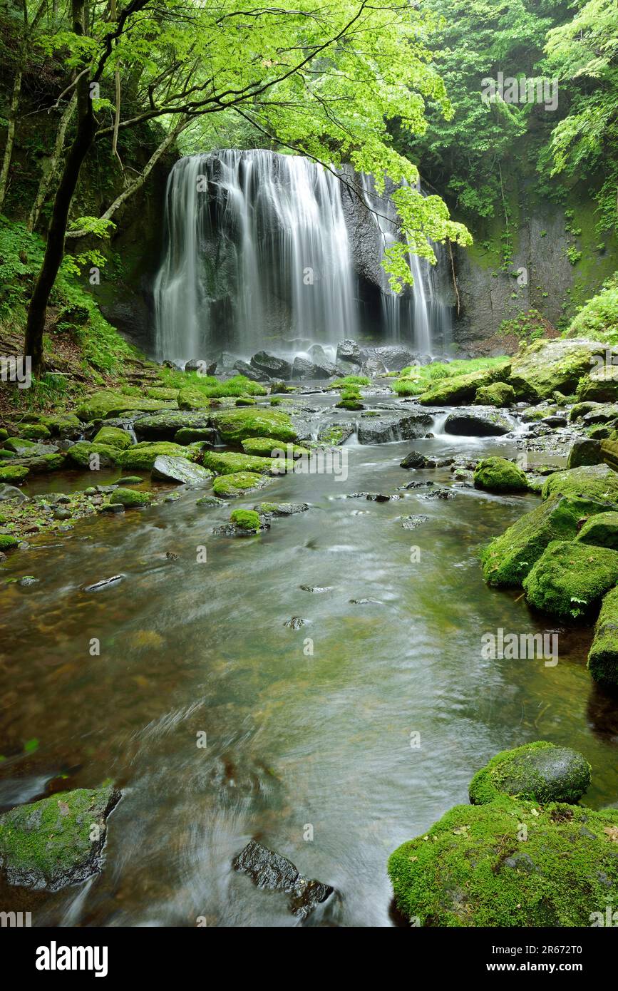 Tatsuzawa fudotaki waterfall in spring Stock Photo