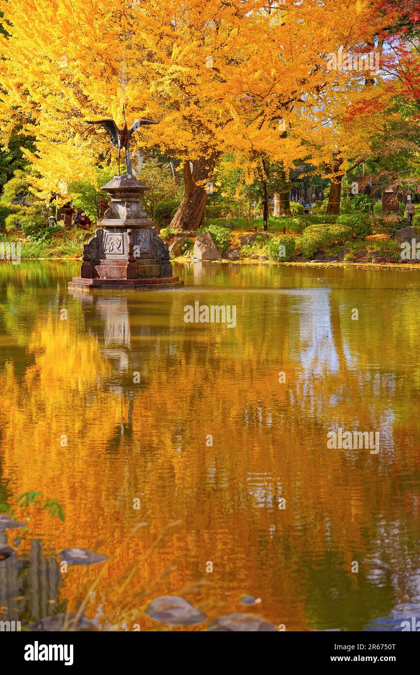 Hibiya park autumn leaves Stock Photo Alamy