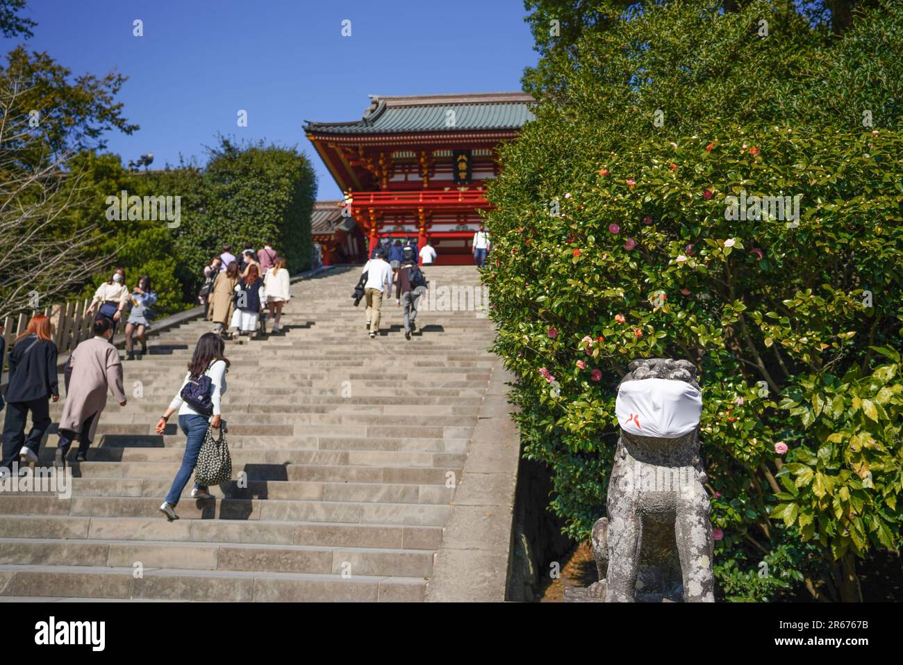 Large stone steps and komainu (guardian dogs) at Tsuruoka Hachimangu Shrine Stock Photo