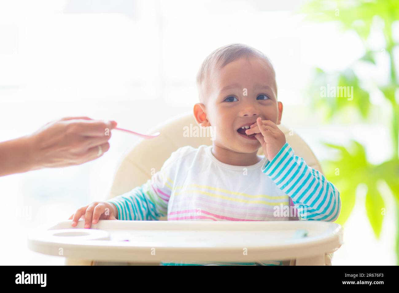 Baby eating in high chair. Asian baby boy with drink and lunch. Infant