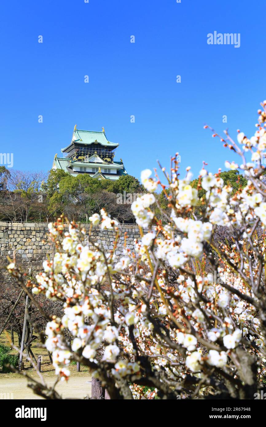 Osaka castles plum grove hi-res stock photography and images - Alamy