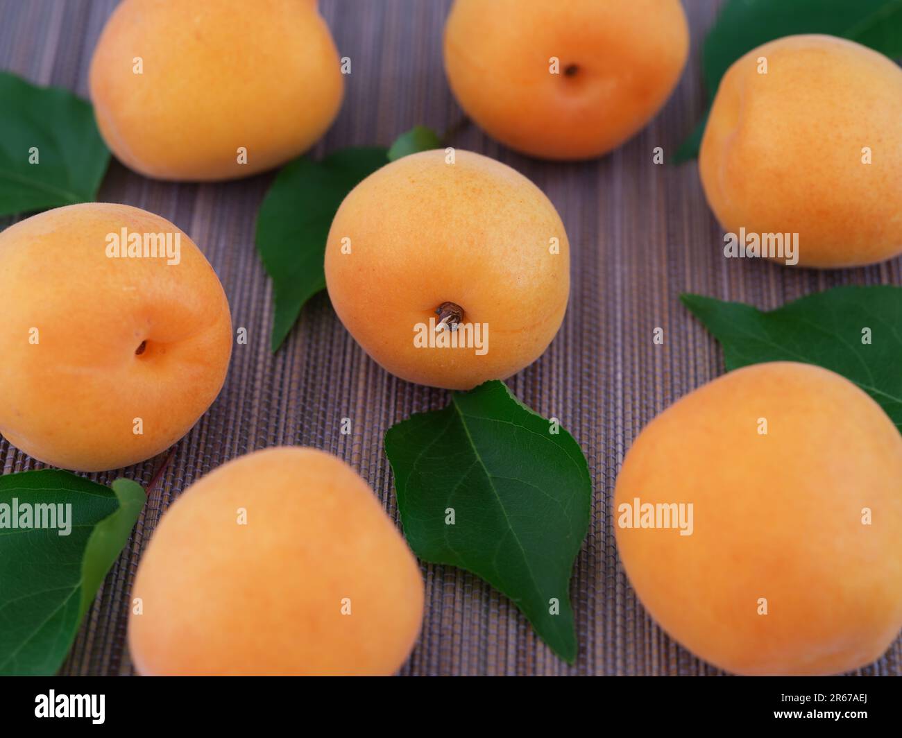 Organic apricots with leaves lying on a mat. Close up. Stock Photo