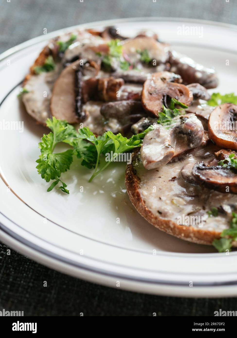 Fried mushrooms with a vegan creamy sauce on toast. Stock Photo